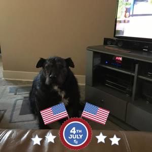 Meet your Posher, Kay